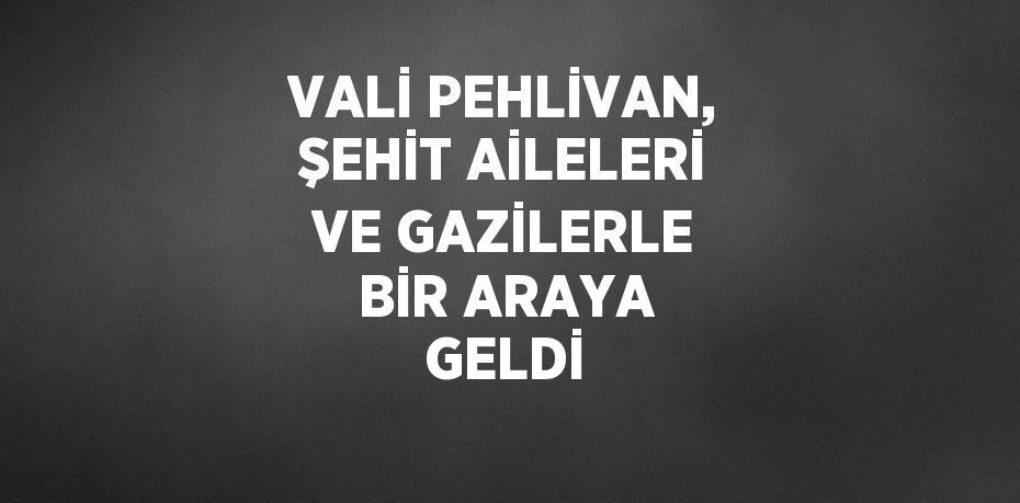 VALİ PEHLİVAN, ŞEHİT AİLELERİ VE GAZİLERLE BİR ARAYA GELDİ