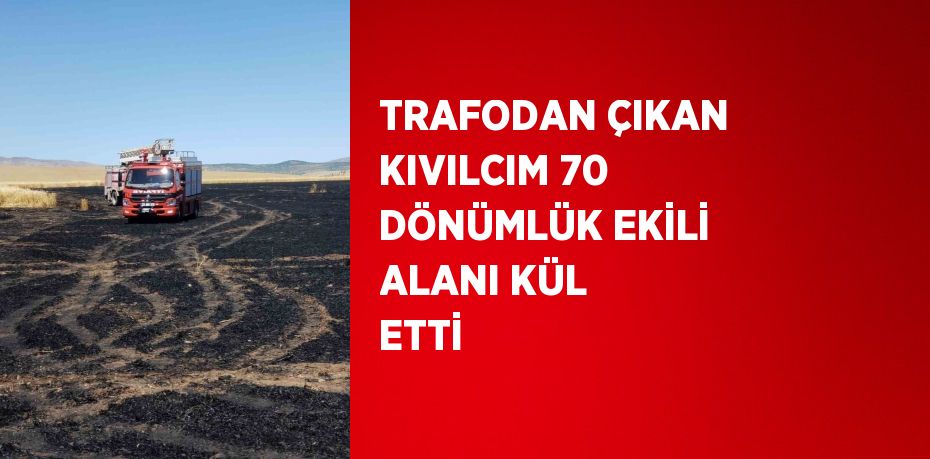 TRAFODAN ÇIKAN KIVILCIM 70 DÖNÜMLÜK EKİLİ ALANI KÜL ETTİ