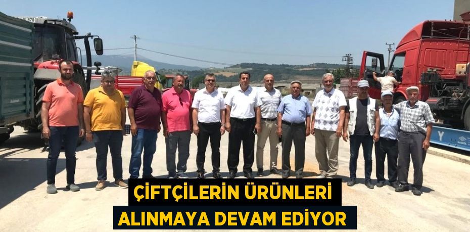 Çiftçilerin ürünleri alınmaya devam ediyor