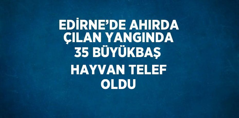 EDİRNE’DE AHIRDA ÇILAN YANGINDA 35 BÜYÜKBAŞ HAYVAN TELEF OLDU