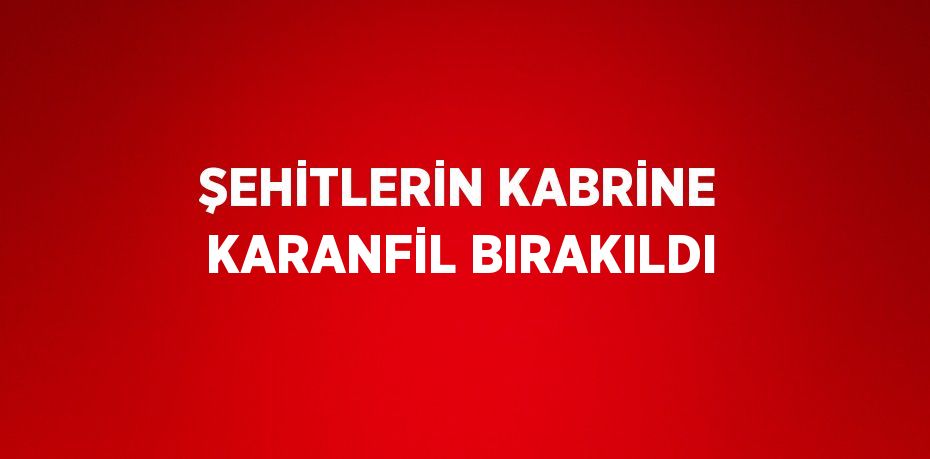 ŞEHİTLERİN KABRİNE KARANFİL BIRAKILDI