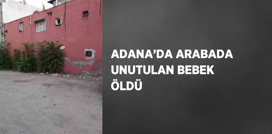 ADANA’DA ARABADA UNUTULAN BEBEK ÖLDÜ