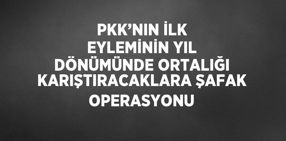 PKK’NIN İLK EYLEMİNİN YIL DÖNÜMÜNDE ORTALIĞI KARIŞTIRACAKLARA ŞAFAK OPERASYONU