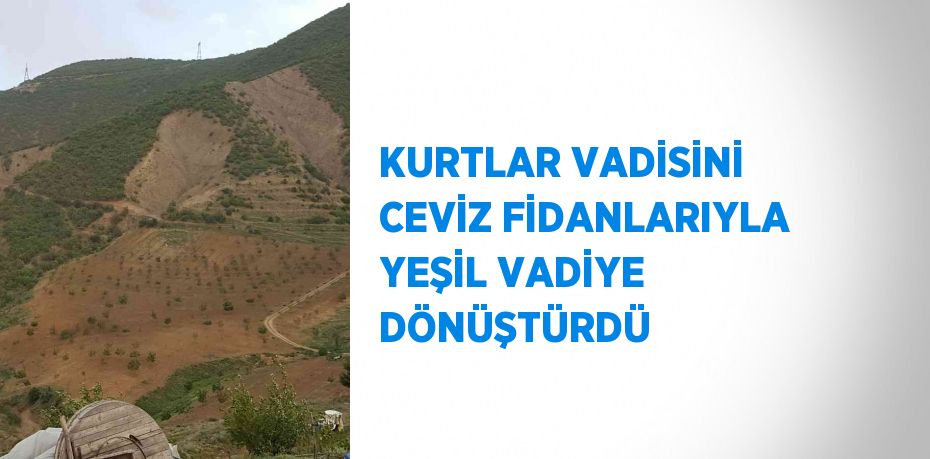 KURTLAR VADİSİNİ CEVİZ FİDANLARIYLA YEŞİL VADİYE DÖNÜŞTÜRDÜ