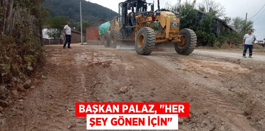 Başkan Palaz, &quot;Her şey Gönen için&quot;