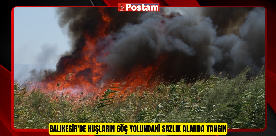 Balıkesir'de kuşların göç yolundaki sazlık alanda yangın  