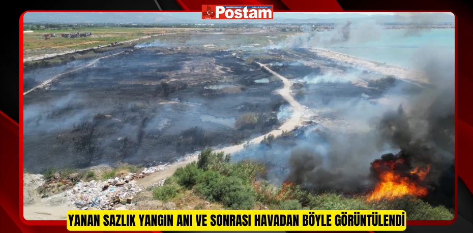 Yanan sazlık yangın anı ve sonrası havadan böyle görüntülendi  