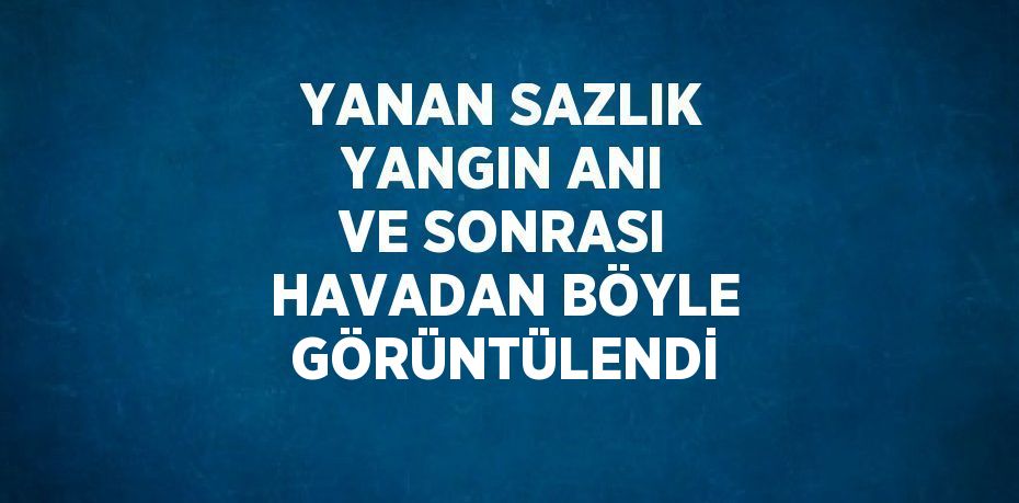 YANAN SAZLIK YANGIN ANI VE SONRASI HAVADAN BÖYLE GÖRÜNTÜLENDİ