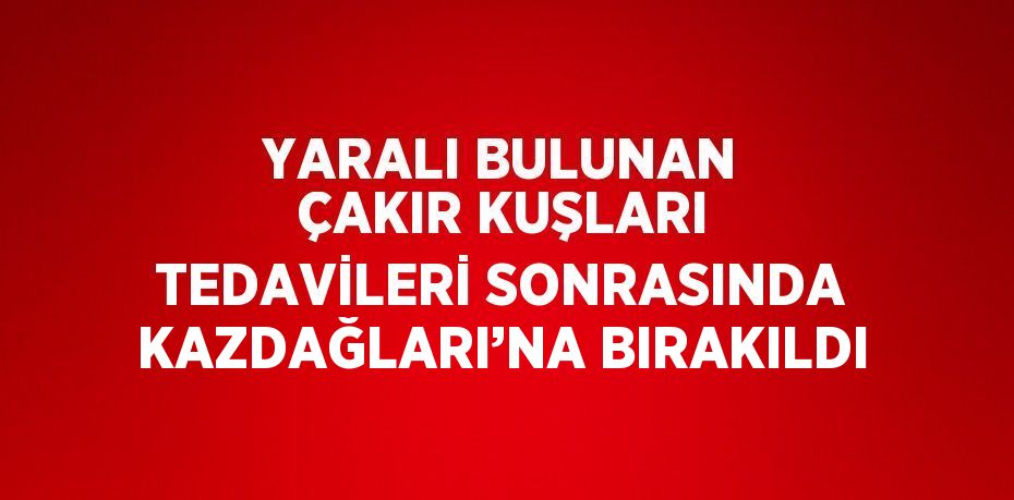 YARALI BULUNAN ÇAKIR KUŞLARI TEDAVİLERİ SONRASINDA KAZDAĞLARI’NA BIRAKILDI