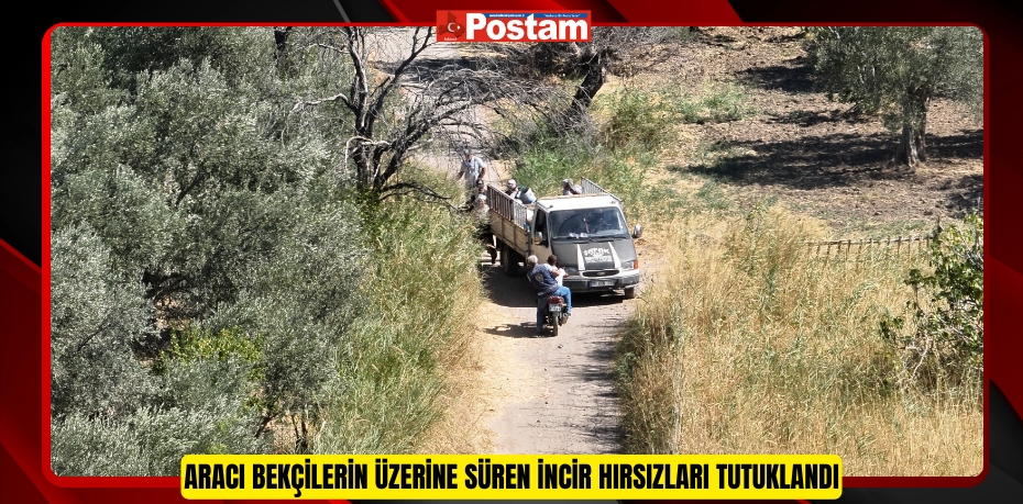 Aracı bekçilerin üzerine süren incir hırsızları tutuklandı