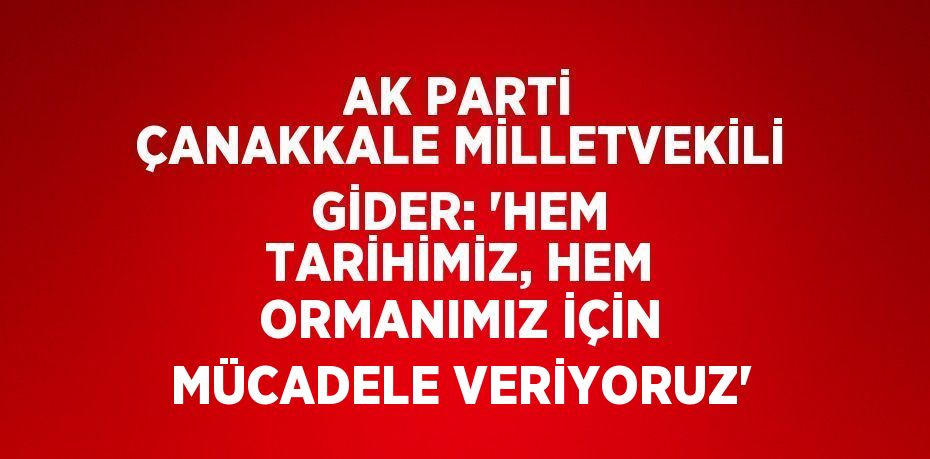 AK PARTİ ÇANAKKALE MİLLETVEKİLİ GİDER: 'HEM TARİHİMİZ, HEM ORMANIMIZ İÇİN MÜCADELE VERİYORUZ'