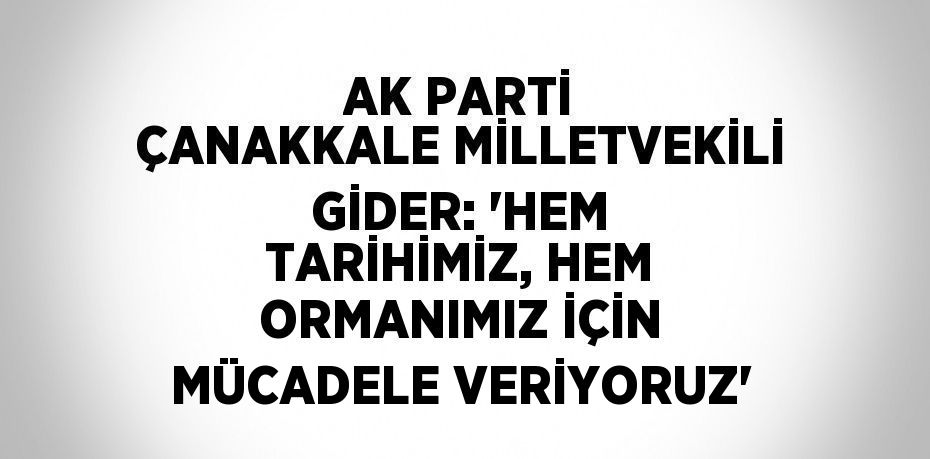 AK PARTİ ÇANAKKALE MİLLETVEKİLİ GİDER: 'HEM TARİHİMİZ, HEM ORMANIMIZ İÇİN MÜCADELE VERİYORUZ'