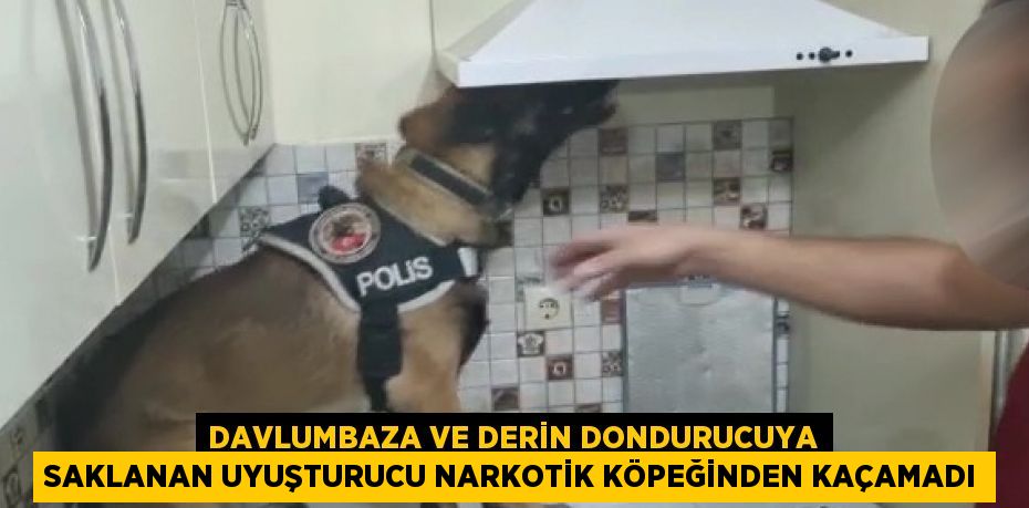 DAVLUMBAZA VE DERİN DONDURUCUYA SAKLANAN UYUŞTURUCU NARKOTİK KÖPEĞİNDEN KAÇAMADI