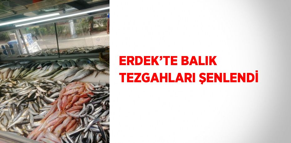 ERDEK’TE BALIK TEZGAHLARI ŞENLENDİ