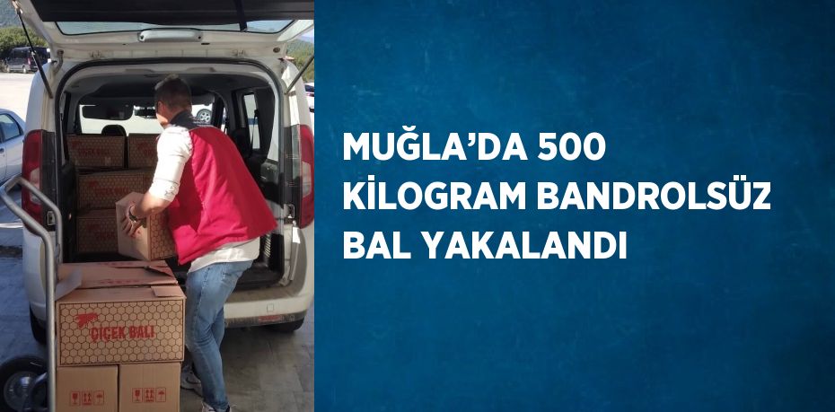 MUĞLA’DA 500 KİLOGRAM BANDROLSÜZ BAL YAKALANDI