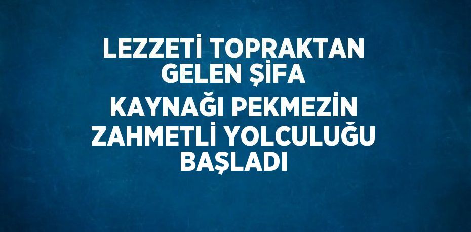 LEZZETİ TOPRAKTAN GELEN ŞİFA KAYNAĞI PEKMEZİN ZAHMETLİ YOLCULUĞU BAŞLADI