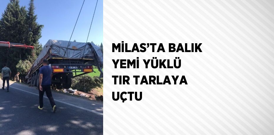 MİLAS’TA BALIK YEMİ YÜKLÜ TIR TARLAYA UÇTU