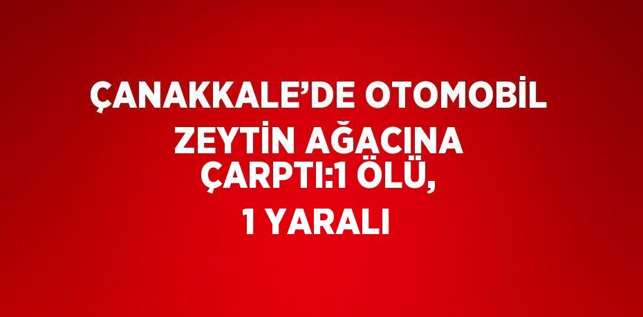 ÇANAKKALE’DE OTOMOBİL ZEYTİN AĞACINA ÇARPTI:1 ÖLÜ, 1 YARALI