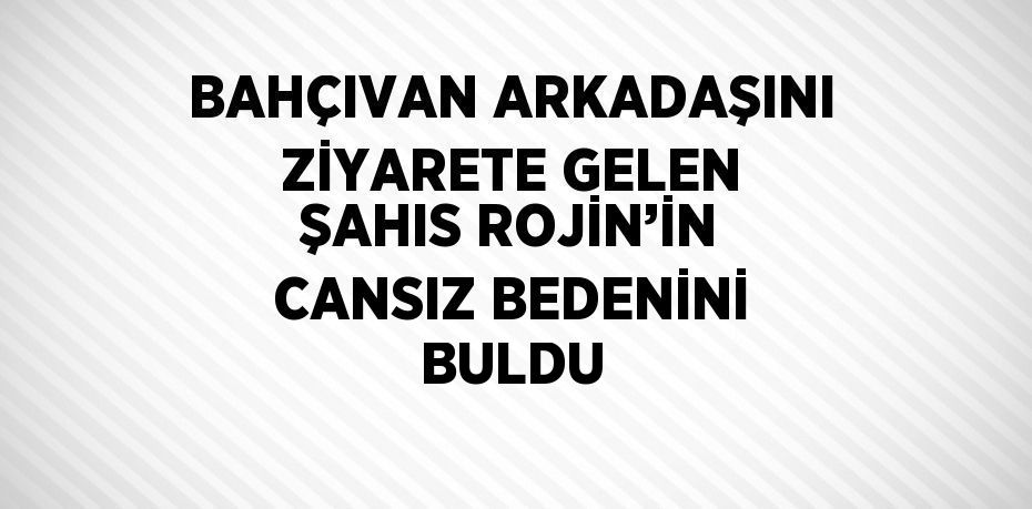 BAHÇIVAN ARKADAŞINI ZİYARETE GELEN ŞAHIS ROJİN’İN CANSIZ BEDENİNİ BULDU