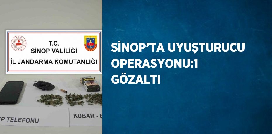 SİNOP’TA UYUŞTURUCU OPERASYONU:1 GÖZALTI