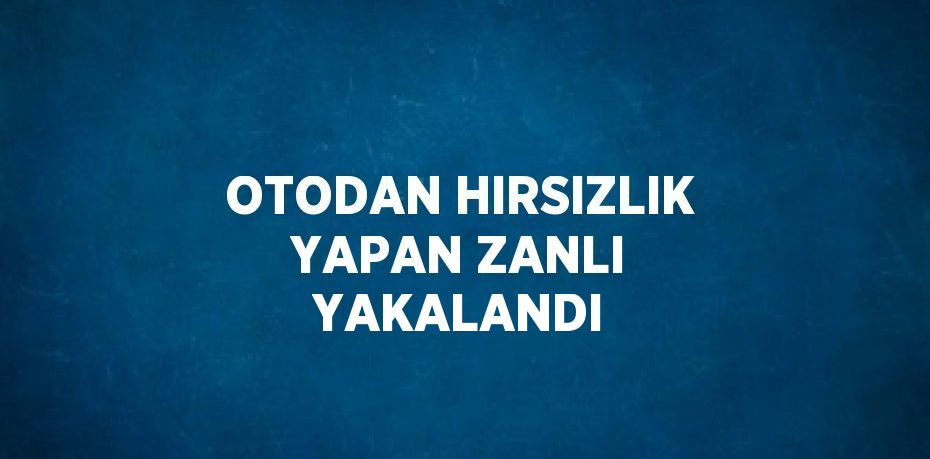 OTODAN HIRSIZLIK YAPAN ZANLI YAKALANDI