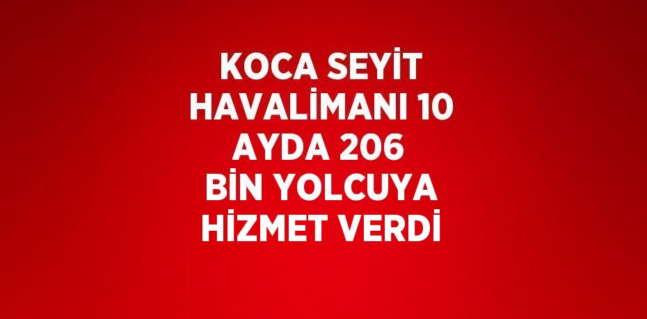 KOCA SEYİT HAVALİMANI 10 AYDA 206 BİN YOLCUYA HİZMET VERDİ