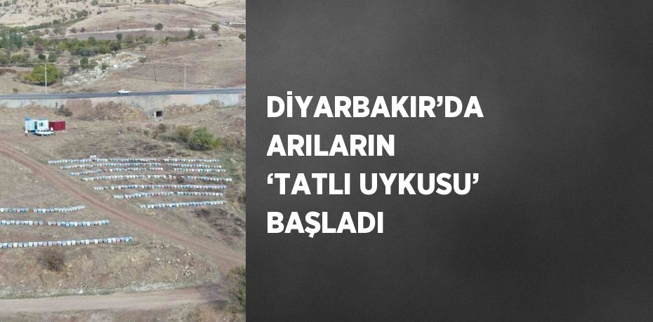 DİYARBAKIR’DA ARILARIN ‘TATLI UYKUSU’ BAŞLADI