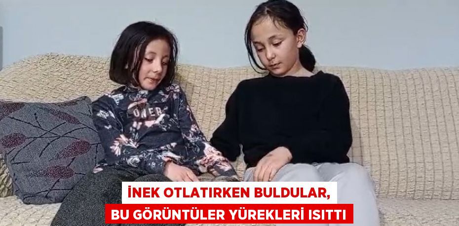 İNEK OTLATIRKEN BULDULAR, BU GÖRÜNTÜLER YÜREKLERİ ISITTI