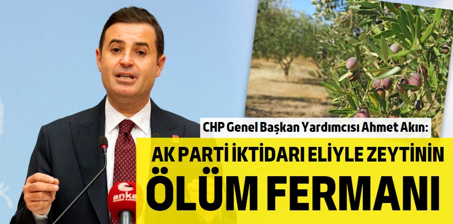 AK PARTİ İKTİDARI ELİYLE  ZEYTİNİN ÖLÜM FERMANI