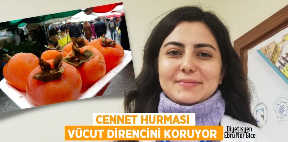 Cennet hurması vücut direncini koruyor