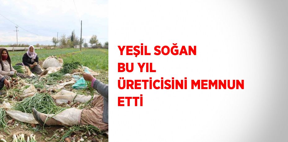 YEŞİL SOĞAN BU YIL ÜRETİCİSİNİ MEMNUN ETTİ