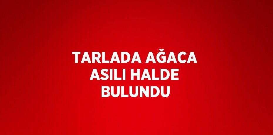 TARLADA AĞACA ASILI HALDE BULUNDU