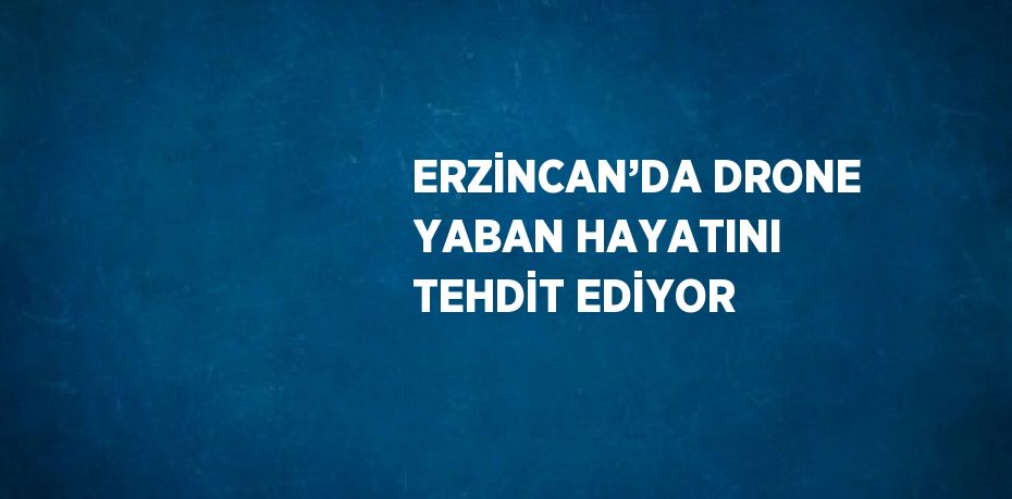 ERZİNCAN’DA DRONE YABAN HAYATINI TEHDİT EDİYOR