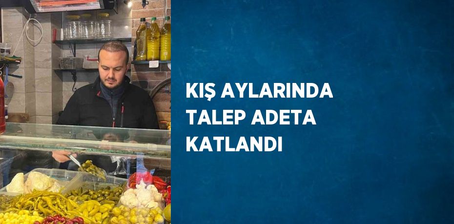 KIŞ AYLARINDA TALEP ADETA KATLANDI