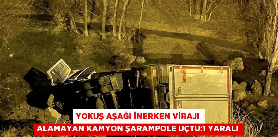 YOKUŞ AŞAĞI İNERKEN VİRAJI ALAMAYAN KAMYON ŞARAMPOLE UÇTU:1 YARALI