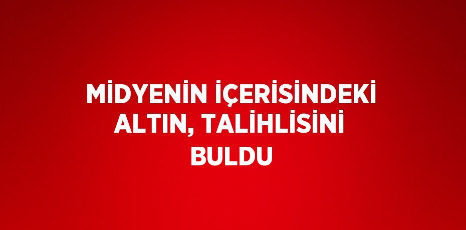 MİDYENİN İÇERİSİNDEKİ ALTIN, TALİHLİSİNİ BULDU