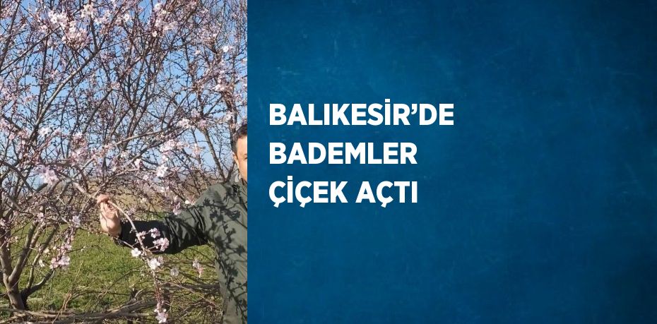 BALIKESİR’DE BADEMLER ÇİÇEK AÇTI