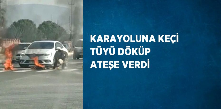 KARAYOLUNA KEÇİ TÜYÜ DÖKÜP ATEŞE VERDİ