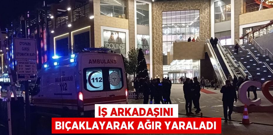 İŞ ARKADAŞINI BIÇAKLAYARAK AĞIR YARALADI