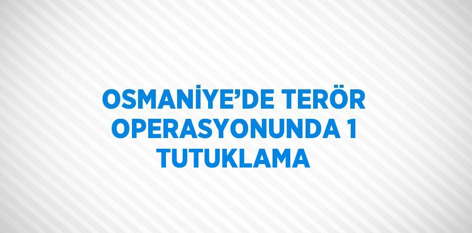 OSMANİYE’DE TERÖR OPERASYONUNDA 1 TUTUKLAMA