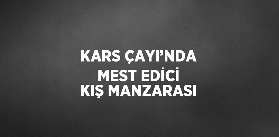 KARS ÇAYI’NDA MEST EDİCİ KIŞ MANZARASI