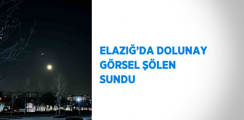 ELAZIĞ’DA DOLUNAY GÖRSEL ŞÖLEN SUNDU