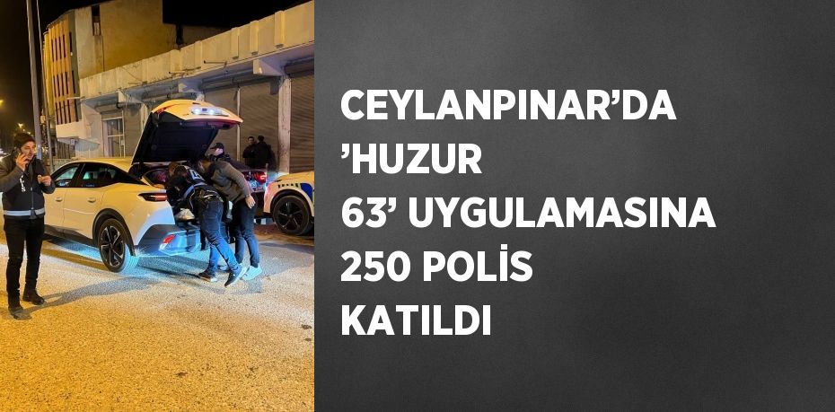 CEYLANPINAR’DA ’HUZUR 63’ UYGULAMASINA 250 POLİS KATILDI