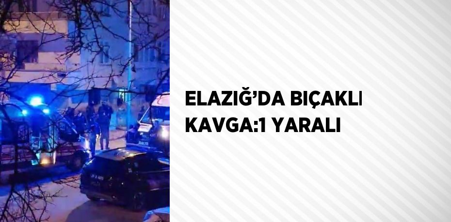 ELAZIĞ’DA BIÇAKLI KAVGA:1 YARALI