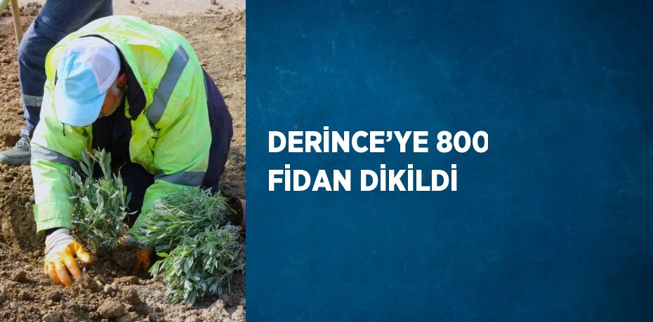 DERİNCE’YE 800 FİDAN DİKİLDİ