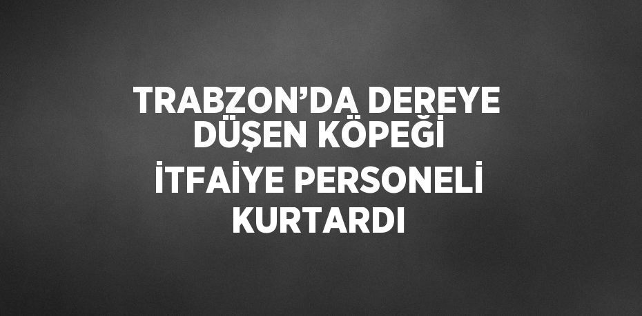 TRABZON’DA DEREYE DÜŞEN KÖPEĞİ İTFAİYE PERSONELİ KURTARDI