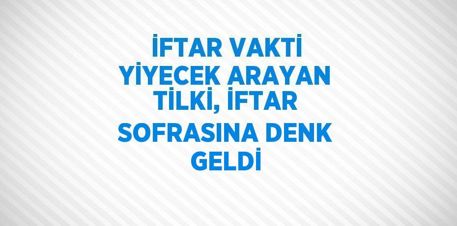 İFTAR VAKTİ YİYECEK ARAYAN TİLKİ, İFTAR SOFRASINA DENK GELDİ