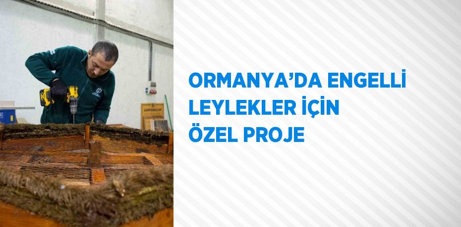 ORMANYA’DA ENGELLİ LEYLEKLER İÇİN ÖZEL PROJE