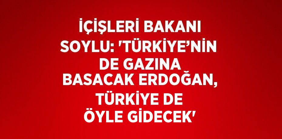 İÇİŞLERİ BAKANI SOYLU: 'TÜRKİYE’NİN DE GAZINA BASACAK ERDOĞAN, TÜRKİYE DE ÖYLE GİDECEK'