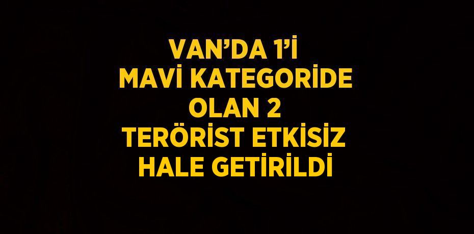 VAN’DA 1’İ MAVİ KATEGORİDE OLAN 2 TERÖRİST ETKİSİZ HALE GETİRİLDİ